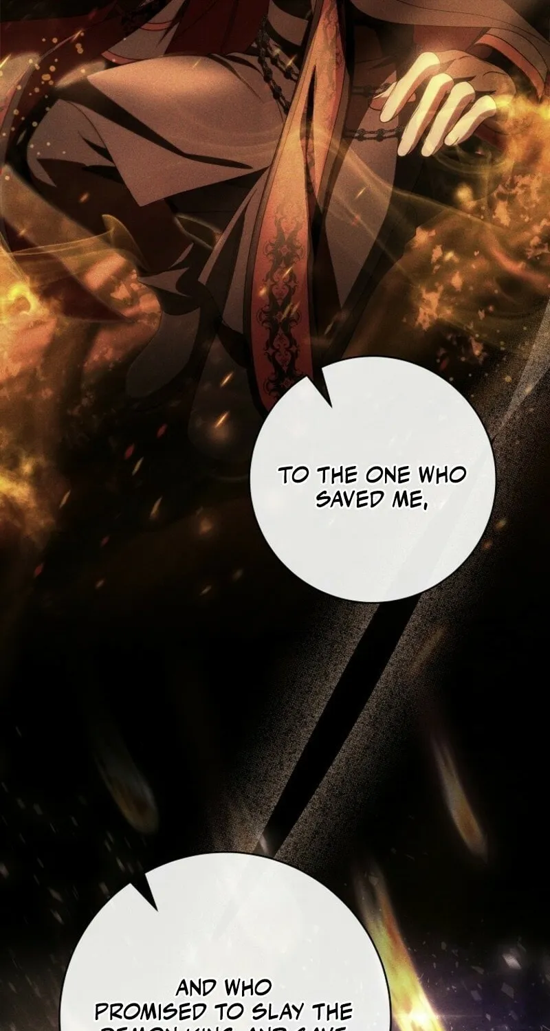 Read The Hero