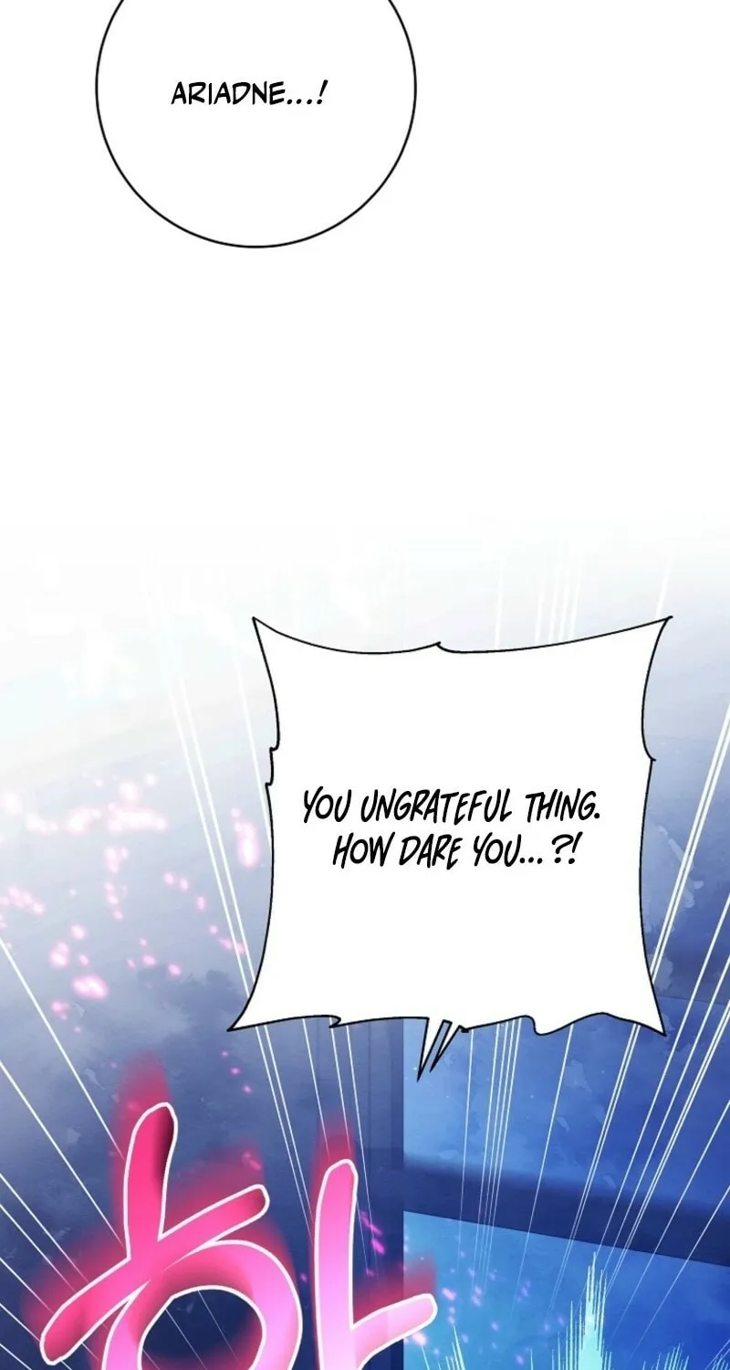 Read The Hero