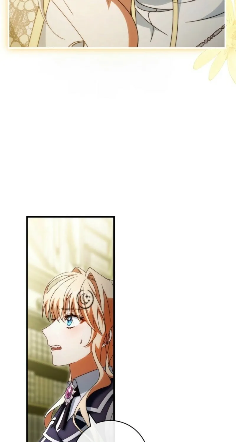 Read The Hero