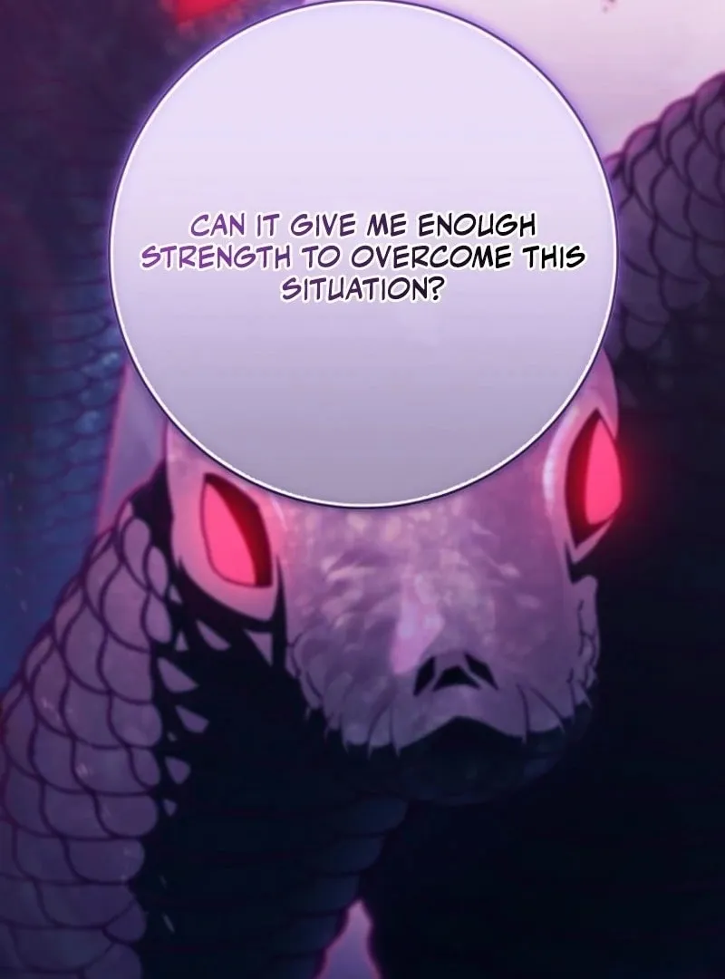 Read The Hero