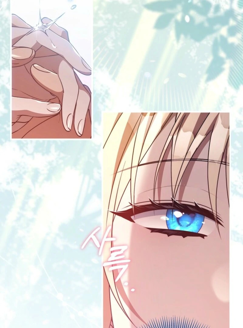Read The Hero