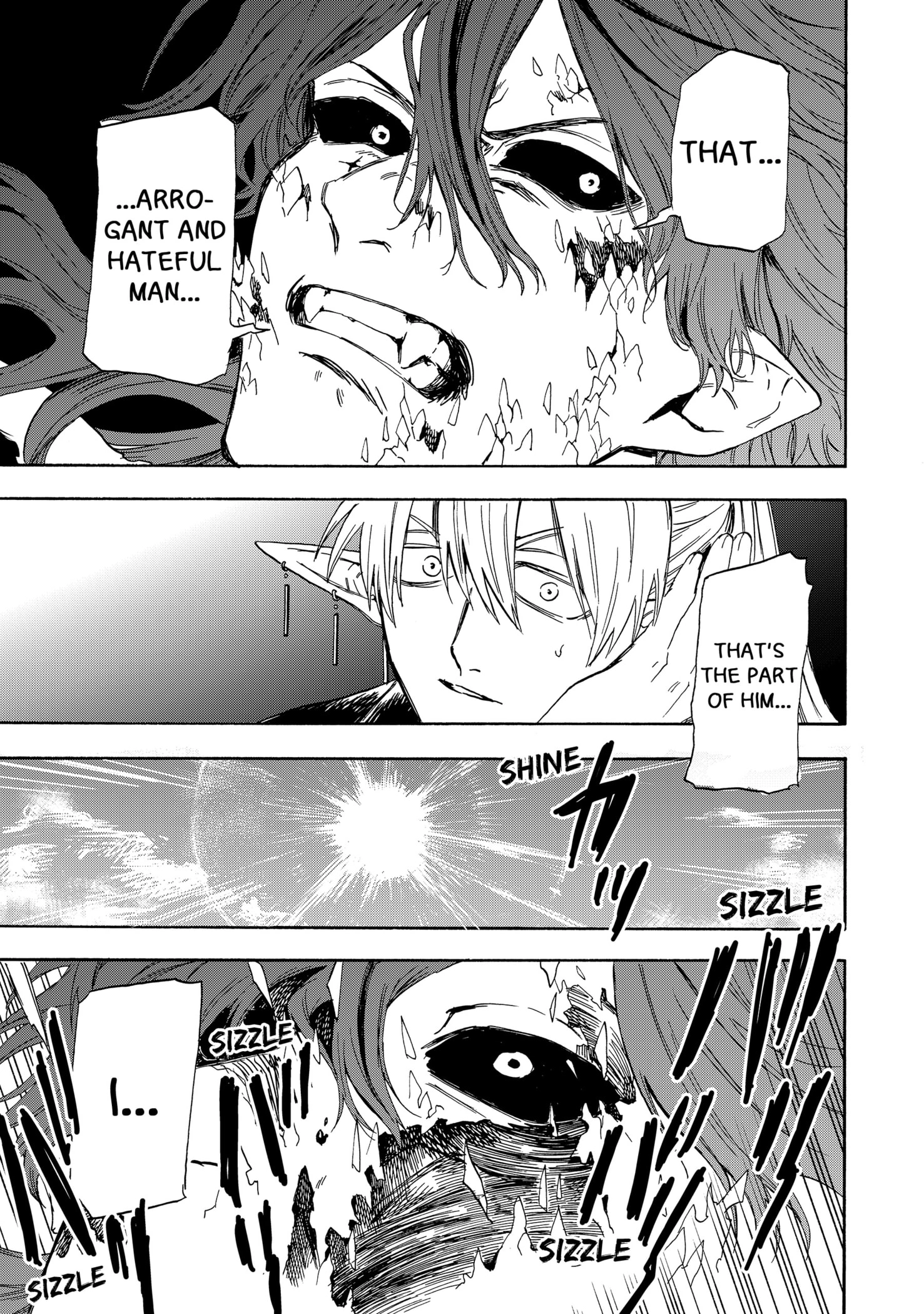 The Hero's Bereaved Family Chapter 10 page 5 - 
