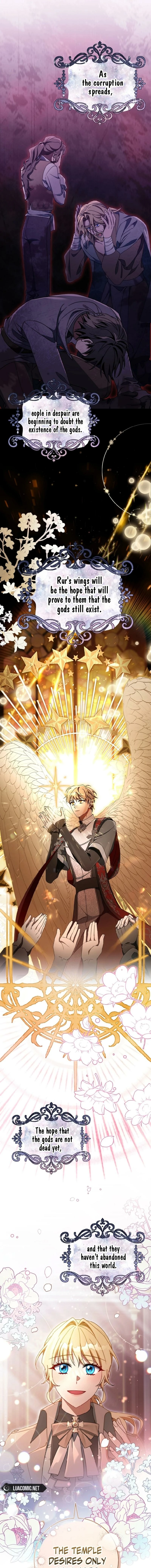 Read The Hero