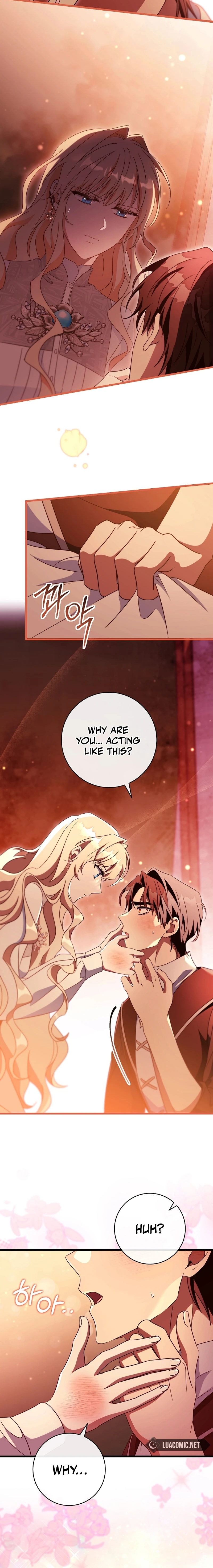 Read The Hero