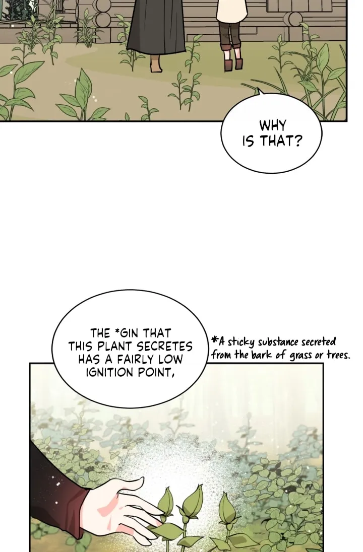 The Hopeless Desire of a Witch Chapter 48 page 46 - 