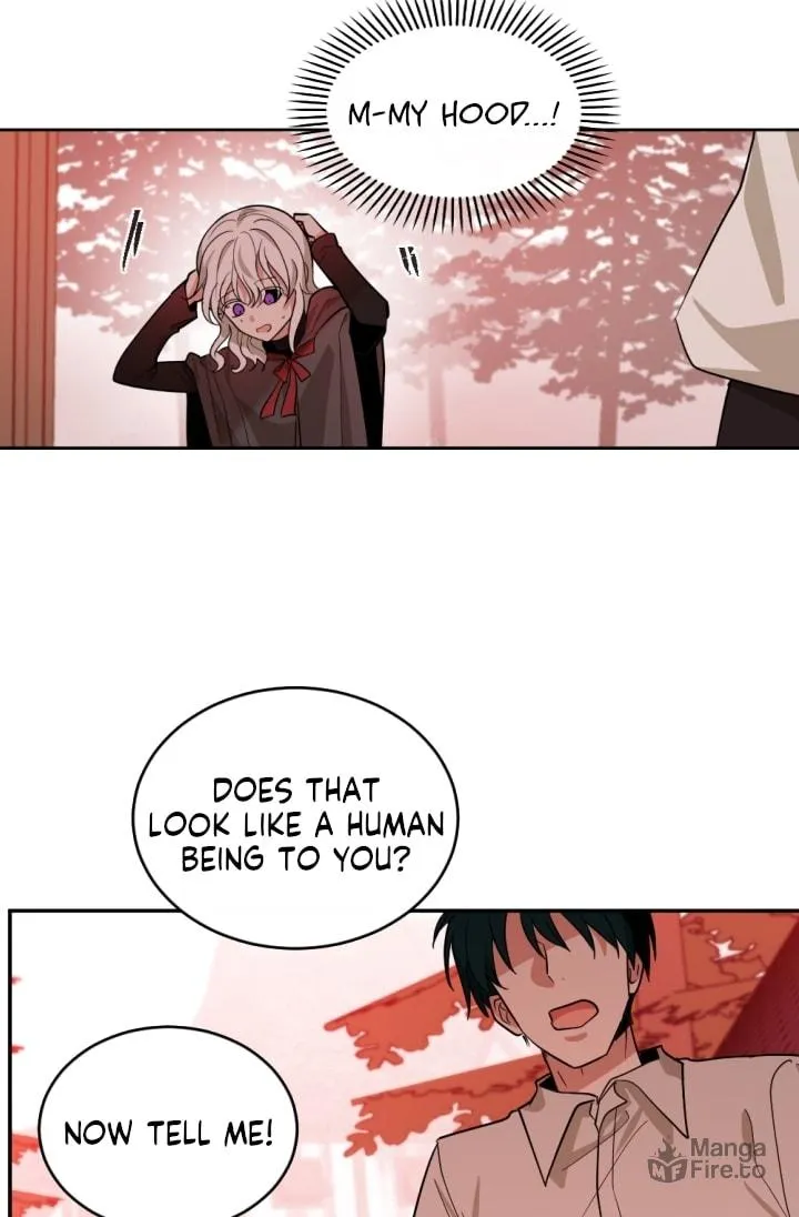 The Hopeless Desire of a Witch Chapter 48 page 69 - 