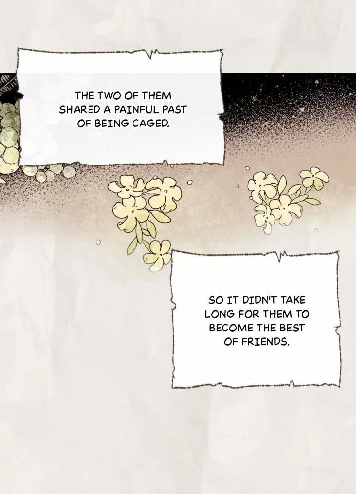 The Hopeless Desire of a Witch Chapter 79 page 6 - 