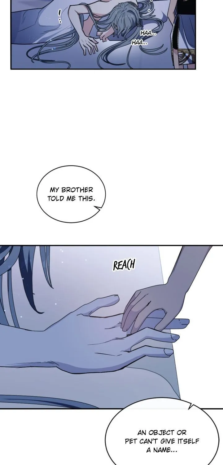 The Hopeless Desire of a Witch Chapter 91 page 11 - 