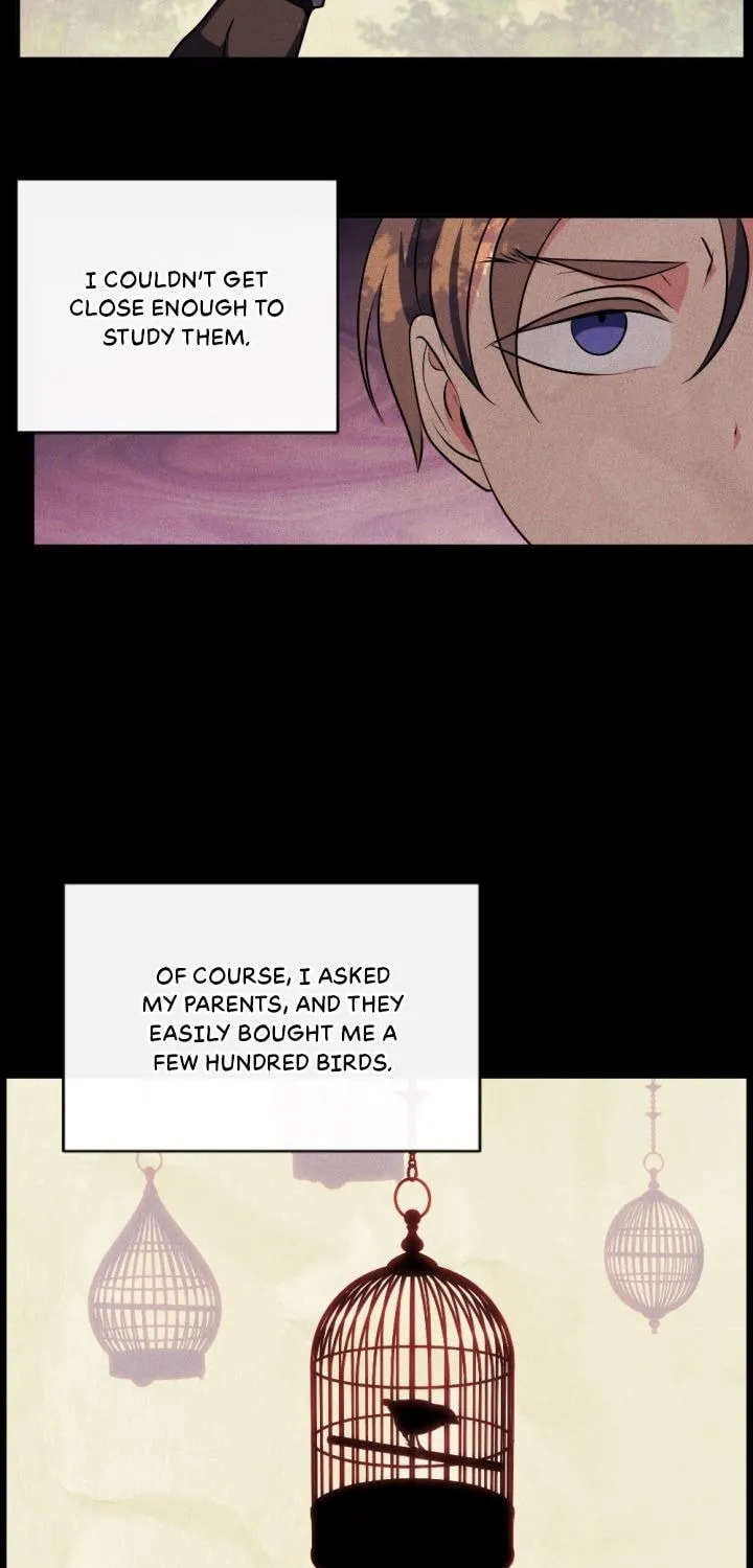 The Hopeless Desire of a Witch Chapter 91 page 52 - 