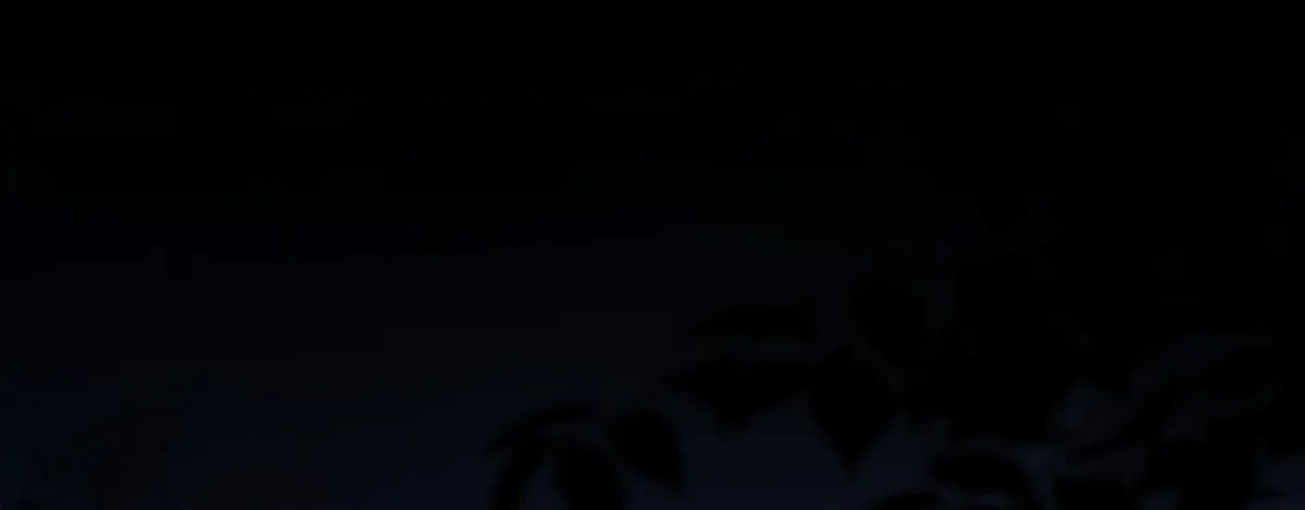 The Hunter's Gonna Lay Low Chapter 53 page 145 - 