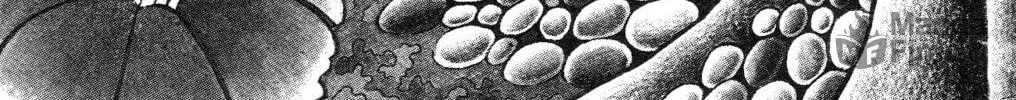 The Illusionary Island Chapter 1 page 6 - 