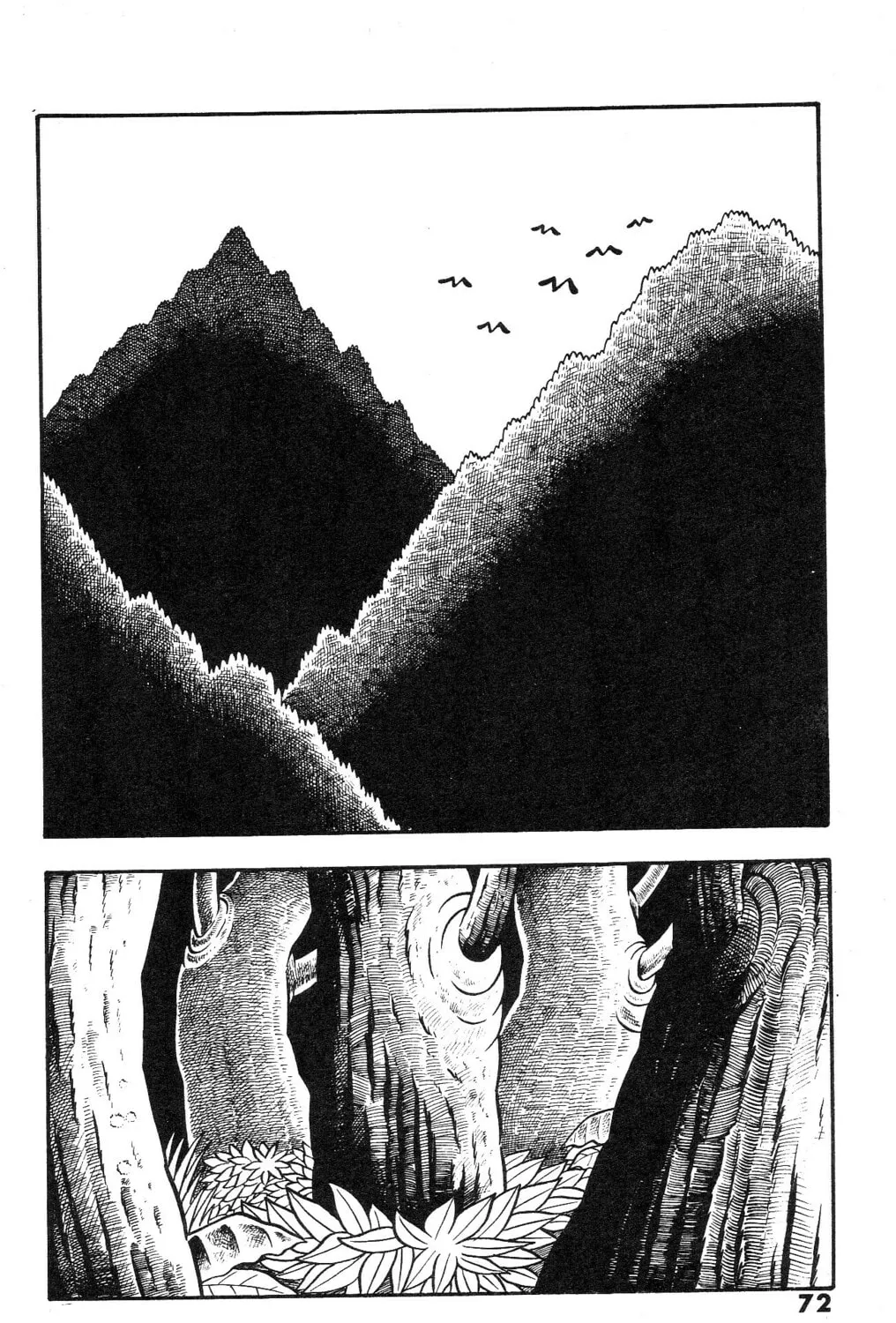 The Illusionary Island Chapter 3 page 3 - 