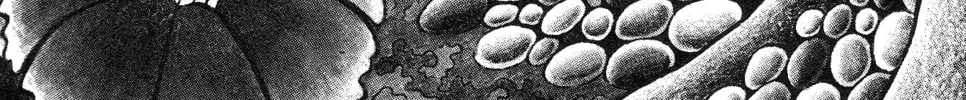 The Illusionary Island Chapter 4 page 2 - 