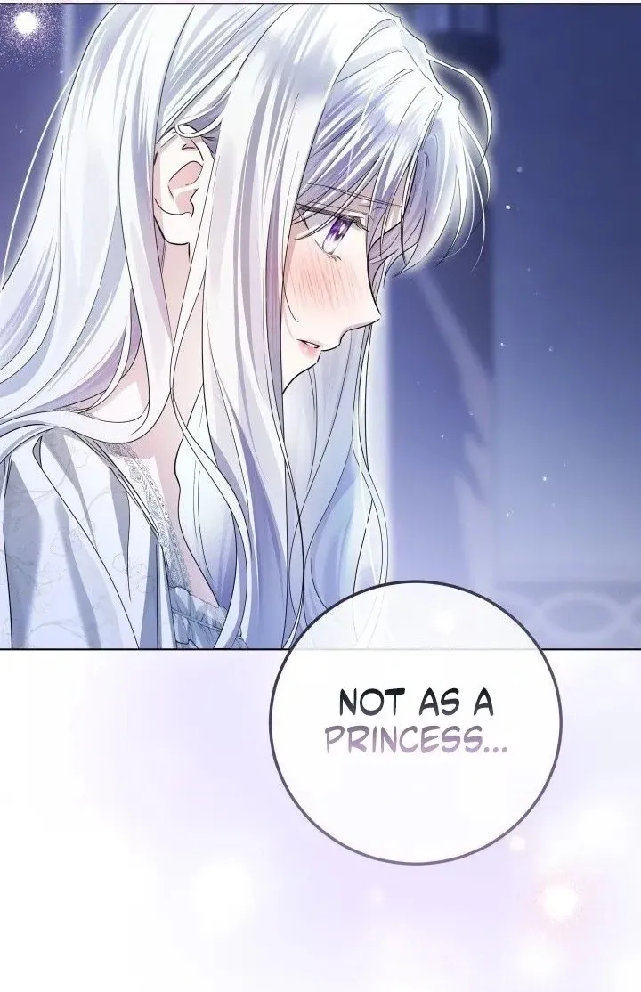 The Incognito Princess Chapter 108 page 40 - 