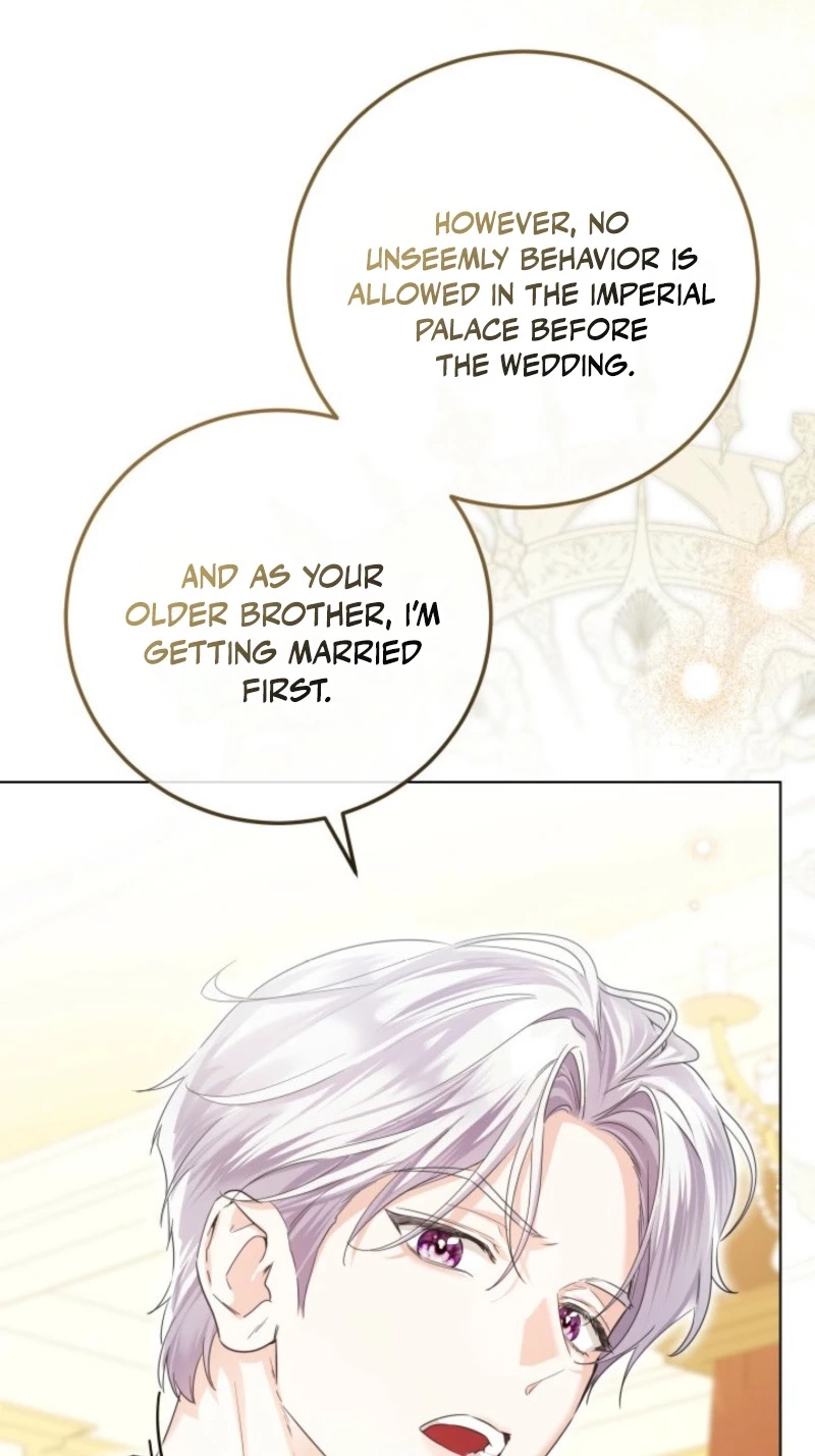 The Incognito Princess Chapter 109 page 73 - 