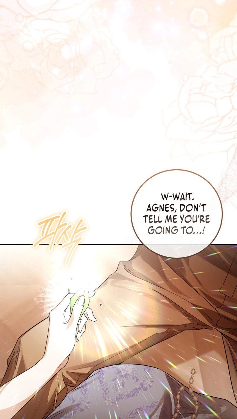 The Incognito Princess Chapter 110 page 42 - 