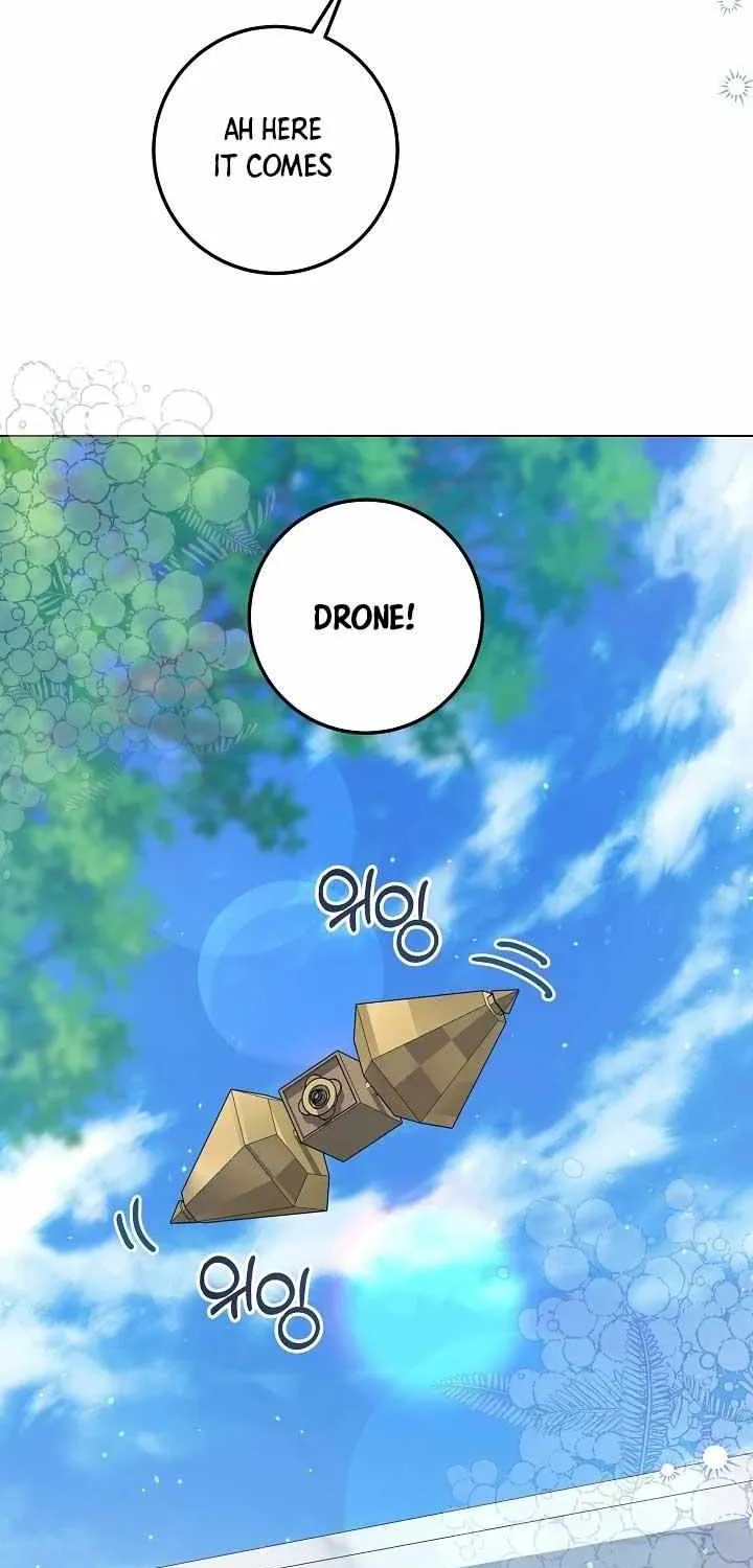 Read The Incognito Princess chapter 27 image 37 on Lezhin