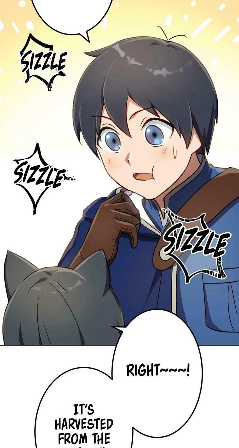 Read The Invincible Banished Shadow Archer chapter 24 image 41 on Lezhin