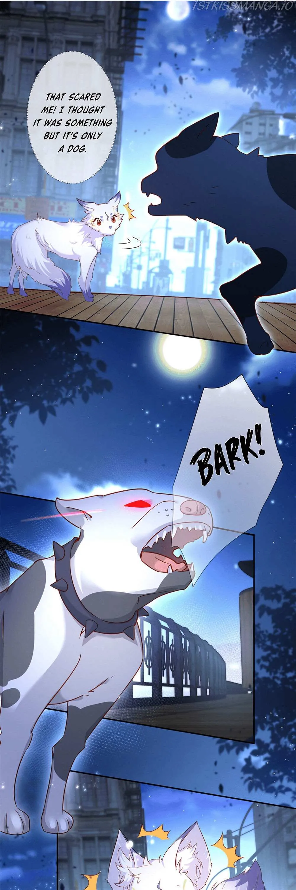 The Killer Boss is raising a Fox Chapter 1 page 11 - 