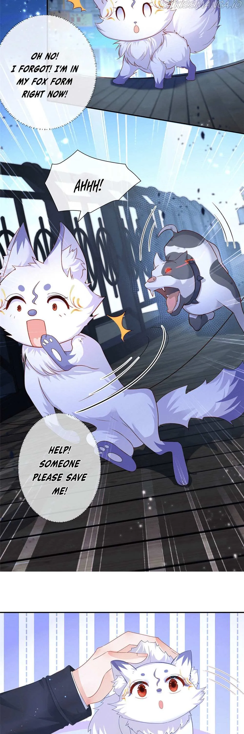 The Killer Boss is raising a Fox Chapter 1 page 12 - 