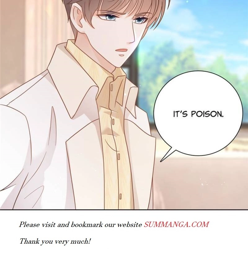 The Killer Boss is raising a Fox Chapter 100 page 42 - 