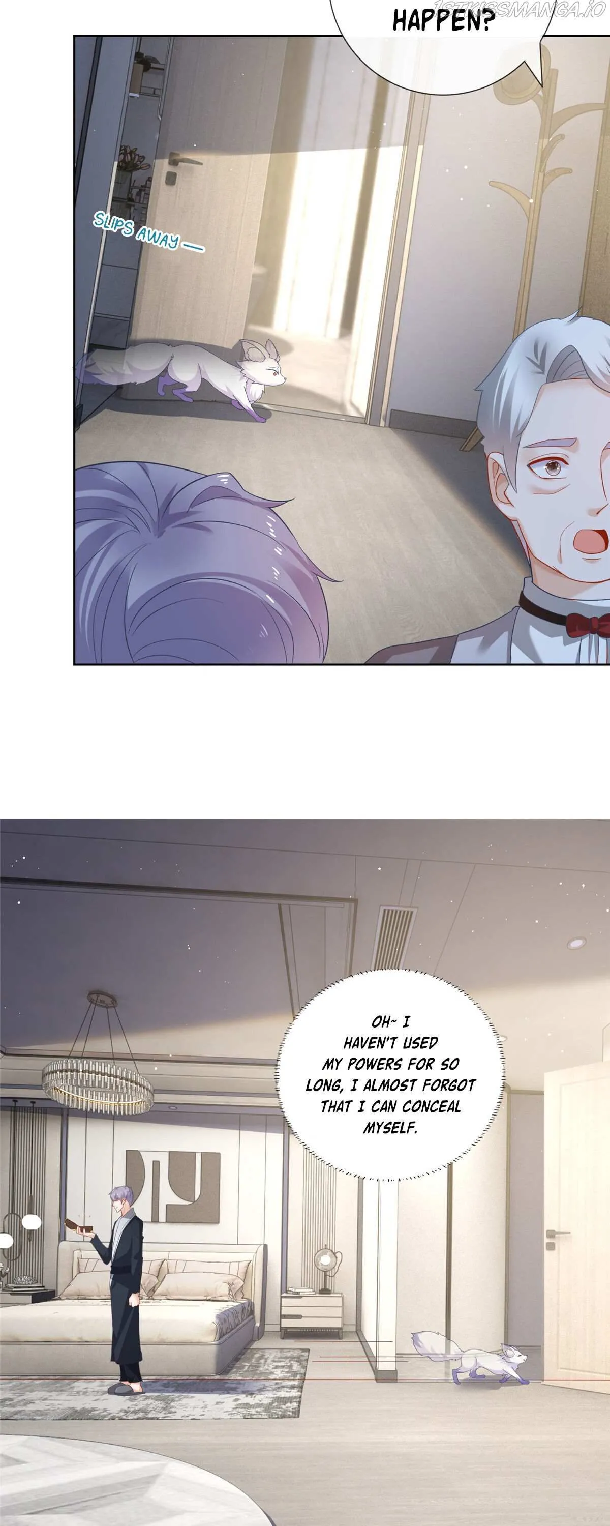 The Killer Boss is raising a Fox Chapter 2 page 14 - 