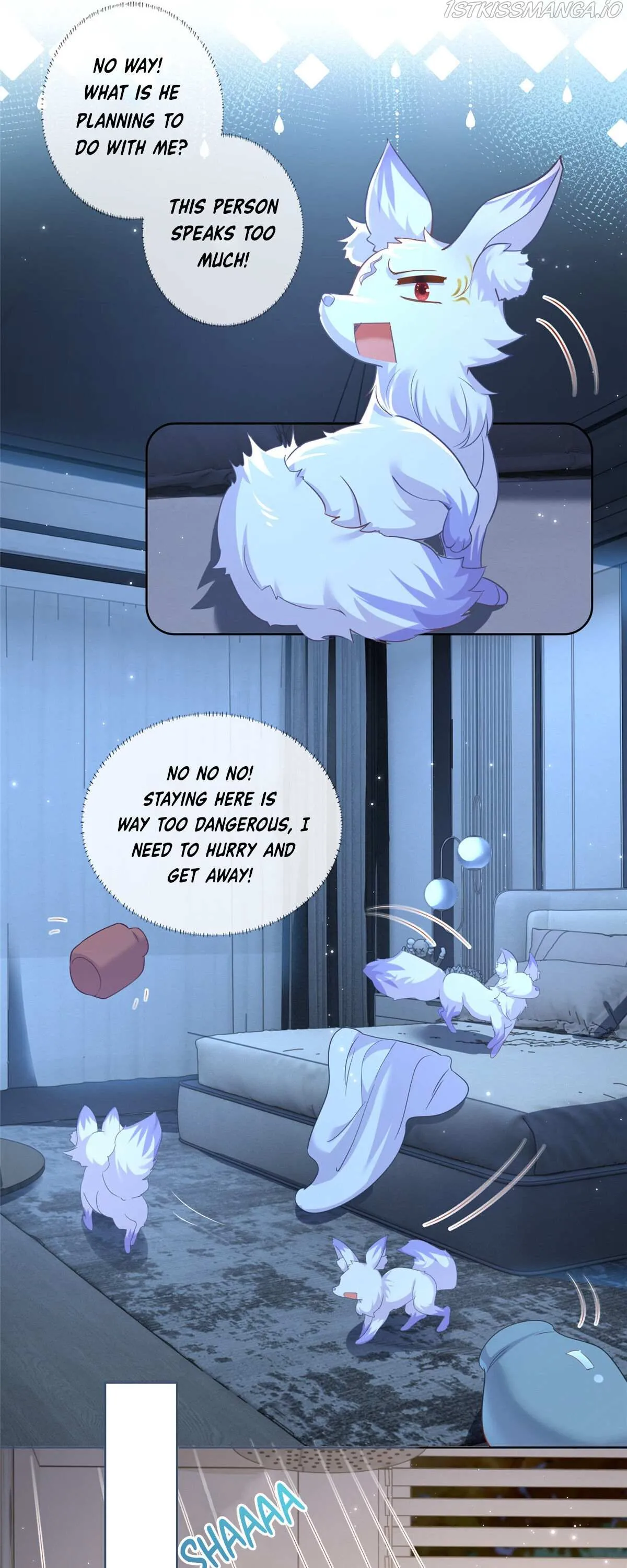 The Killer Boss is raising a Fox Chapter 2 page 5 - 