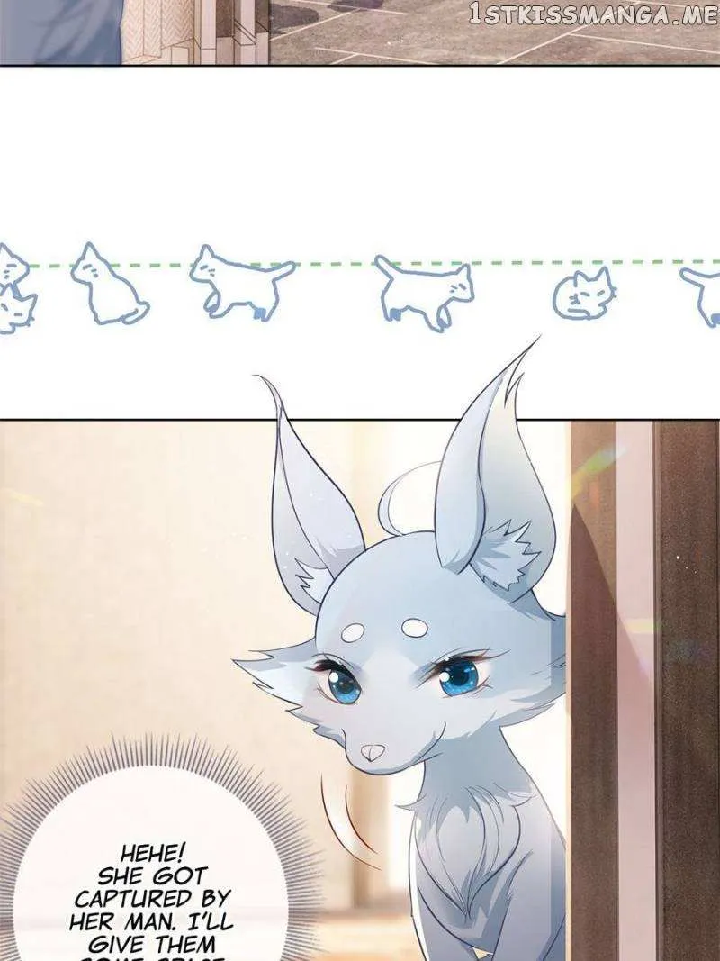 The Killer Boss is raising a Fox Chapter 69 page 29 - 