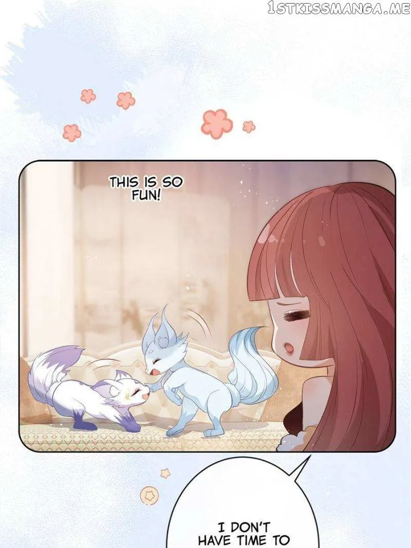The Killer Boss is raising a Fox Chapter 69 page 5 - 