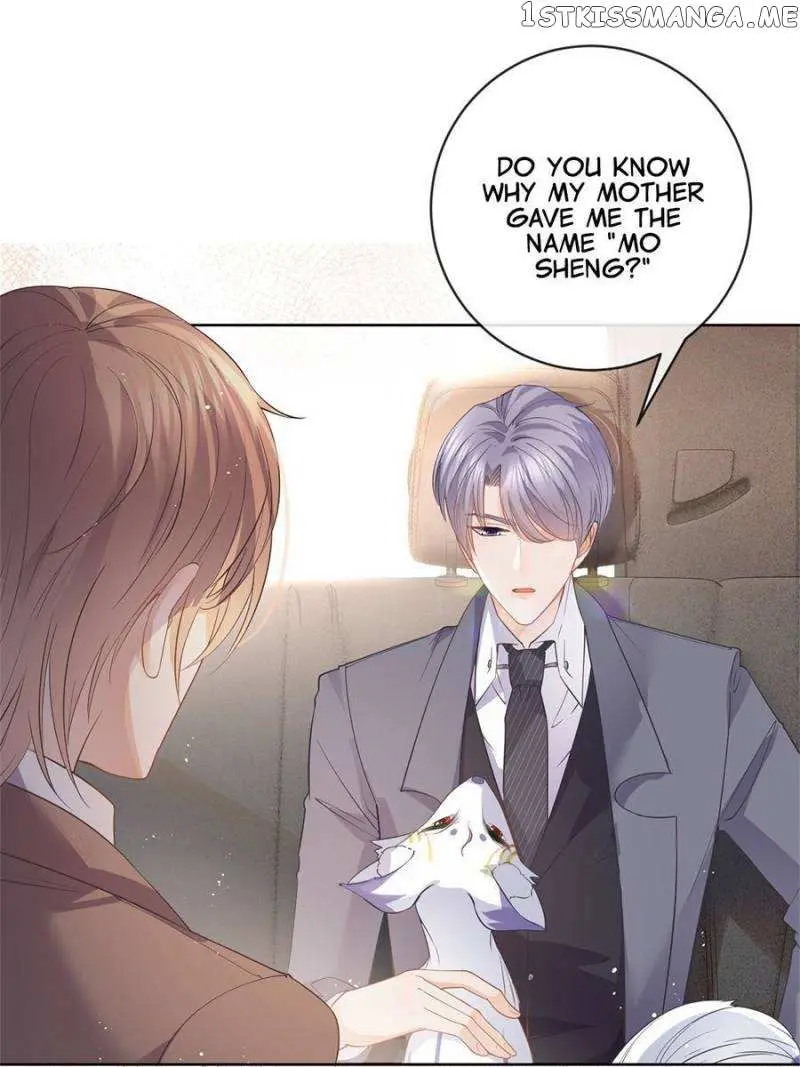The Killer Boss is raising a Fox Chapter 70 page 11 - 