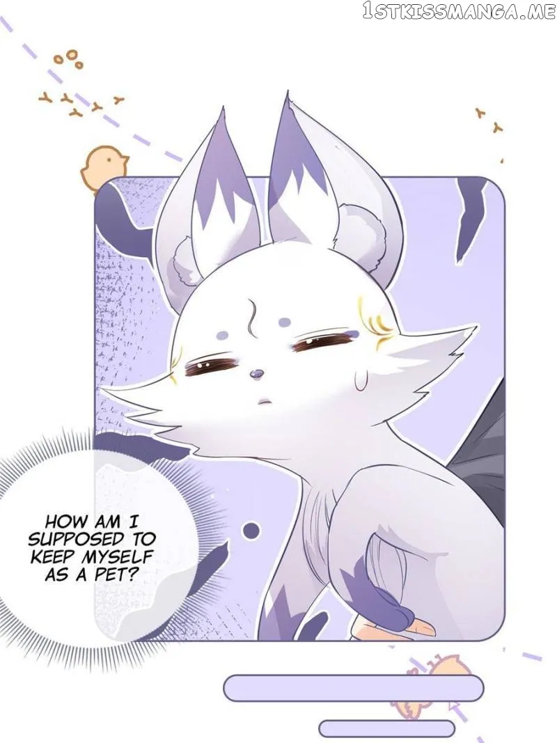 The Killer Boss is raising a Fox Chapter 70 page 24 - 