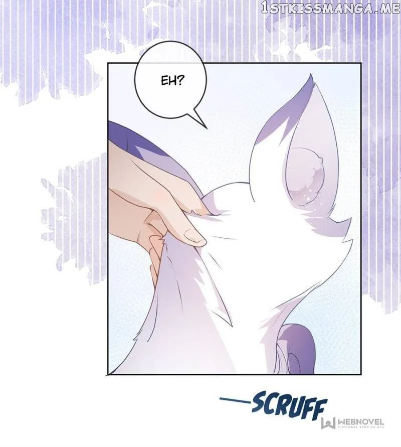 The Killer Boss is raising a Fox Chapter 72 page 37 - 