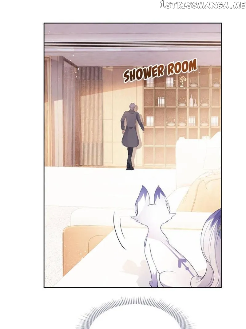 The Killer Boss is raising a Fox Chapter 73 page 13 - 