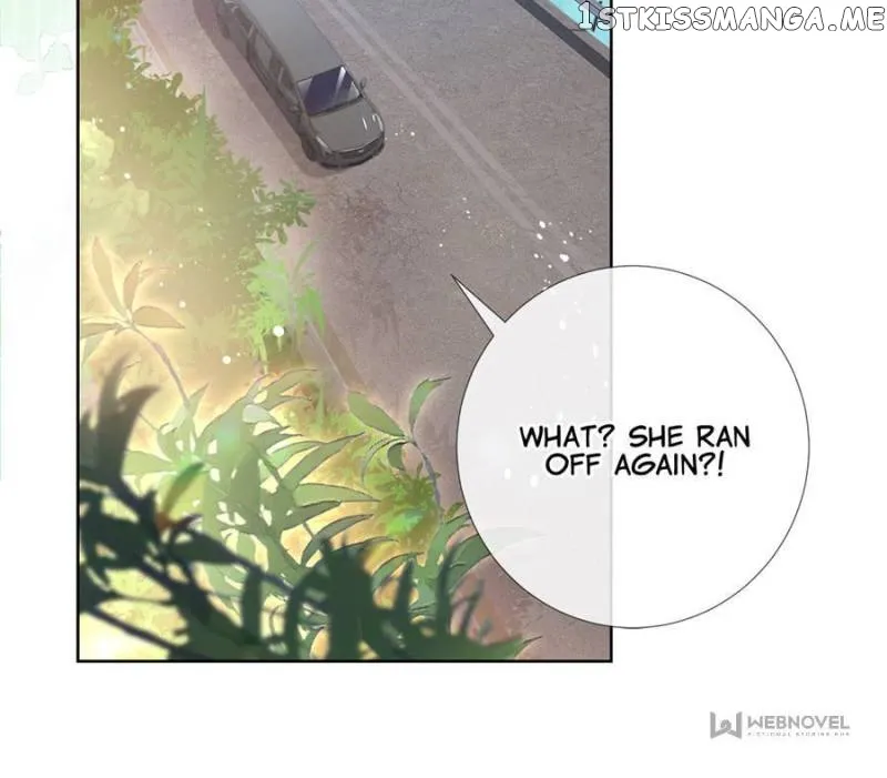 The Killer Boss is raising a Fox Chapter 77 page 17 - 