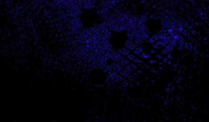 Read The Killer Empres chapter 1 image 76 on Lezhin