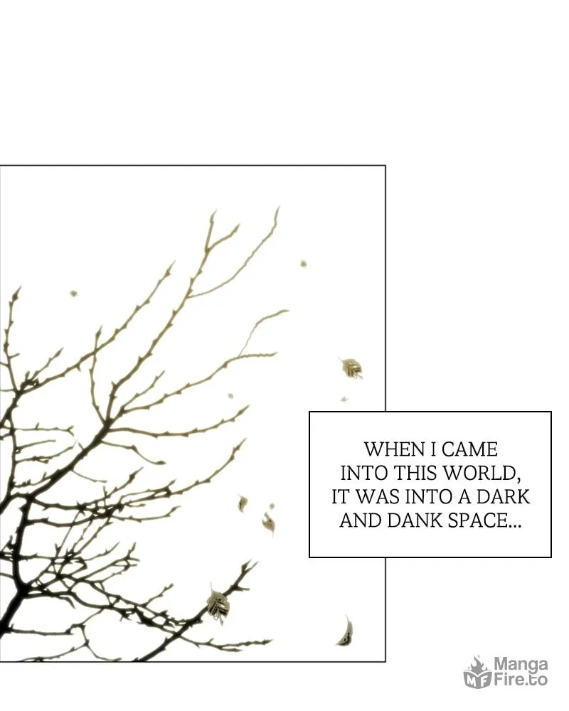 The Killer's Shopping List Chapter 1 page 5 - 