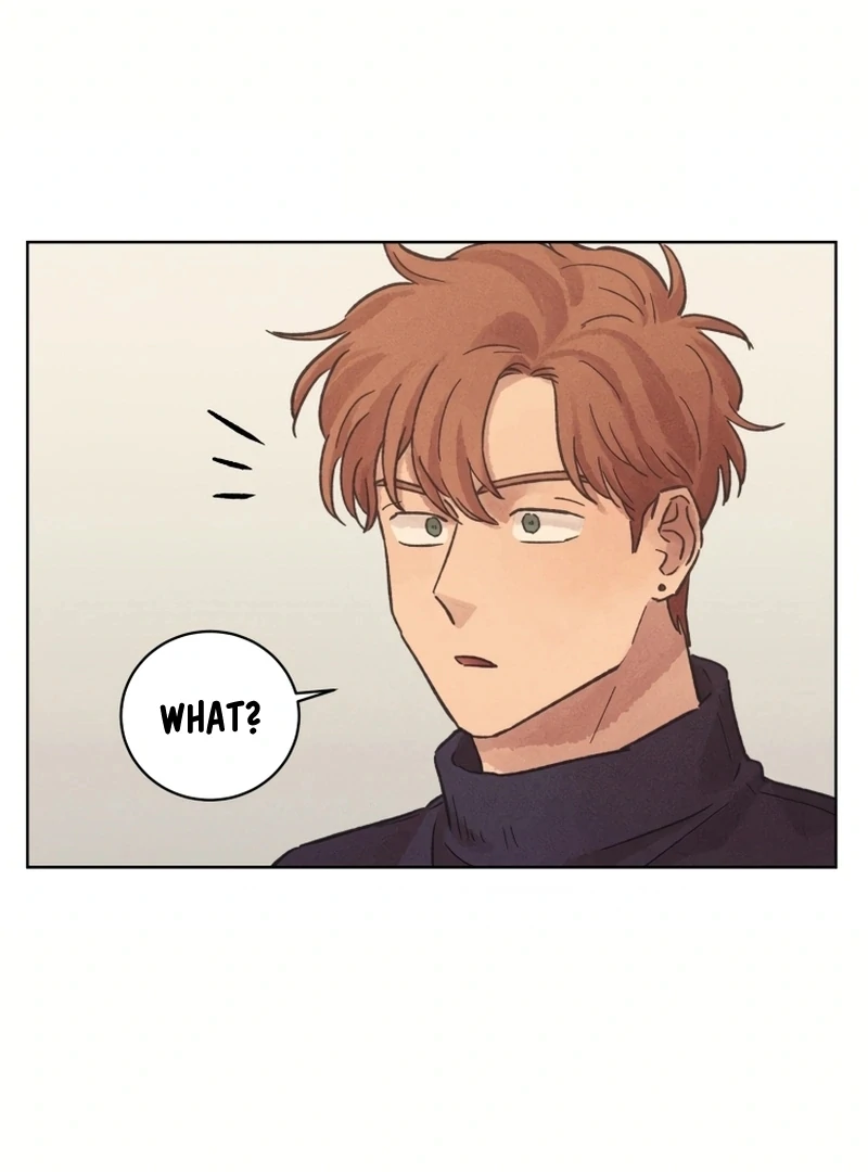 Read The Killer’s Interview chapter 28 image 4 on Lezhin