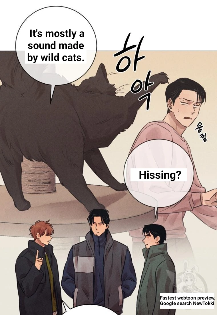 Read The Killer’s Interview chapter 41 image 69 on Lezhin