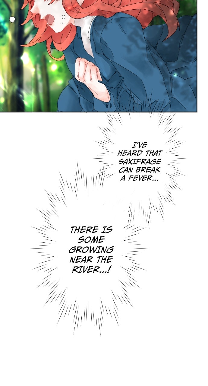 Read The King