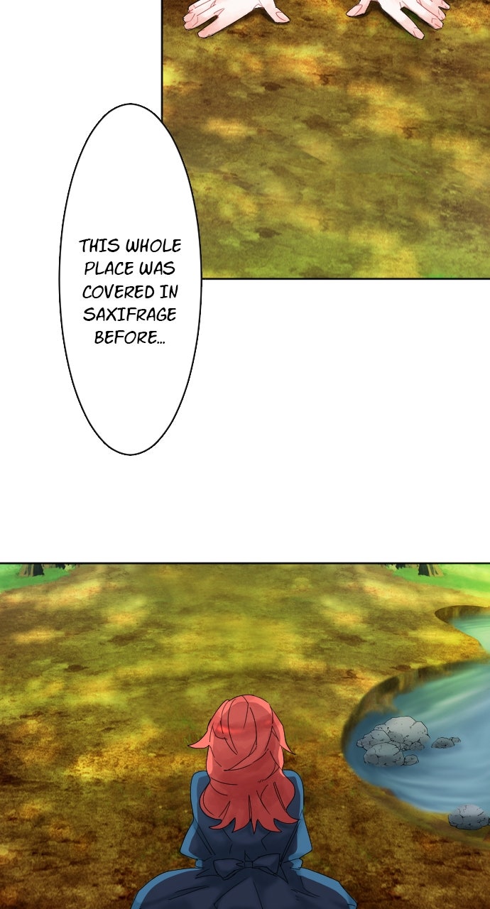 Read The King