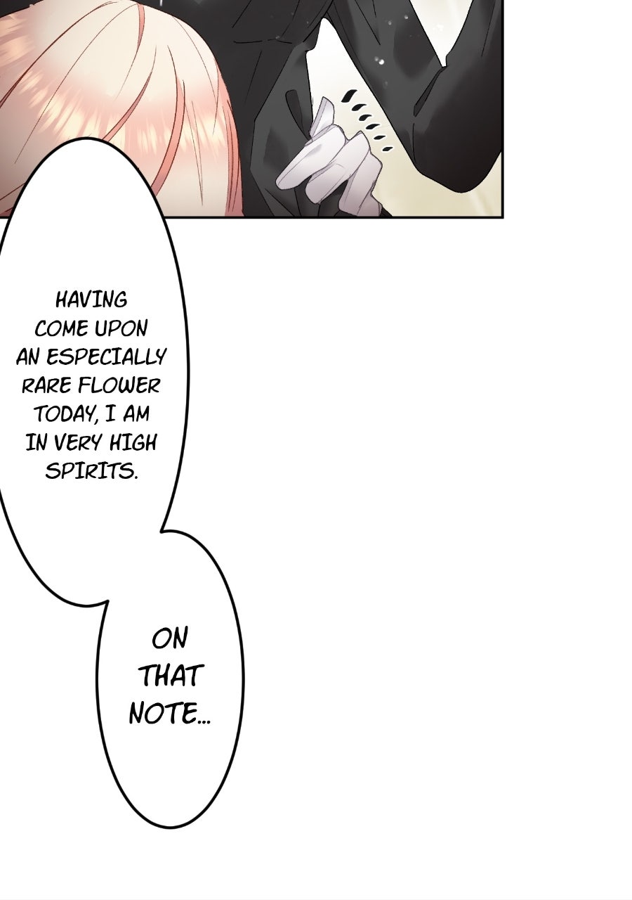 Read The King