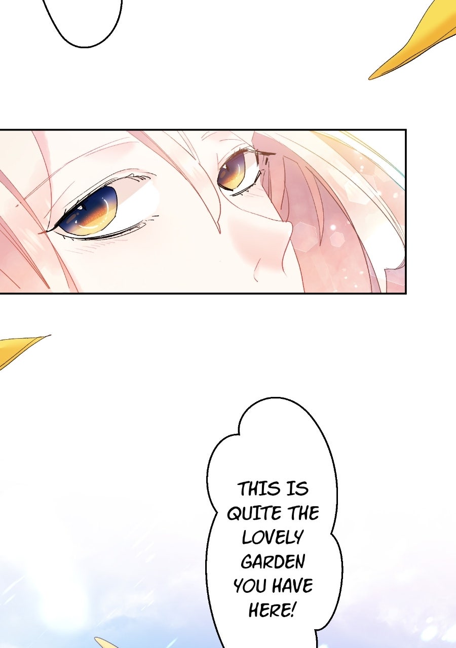 Read The King