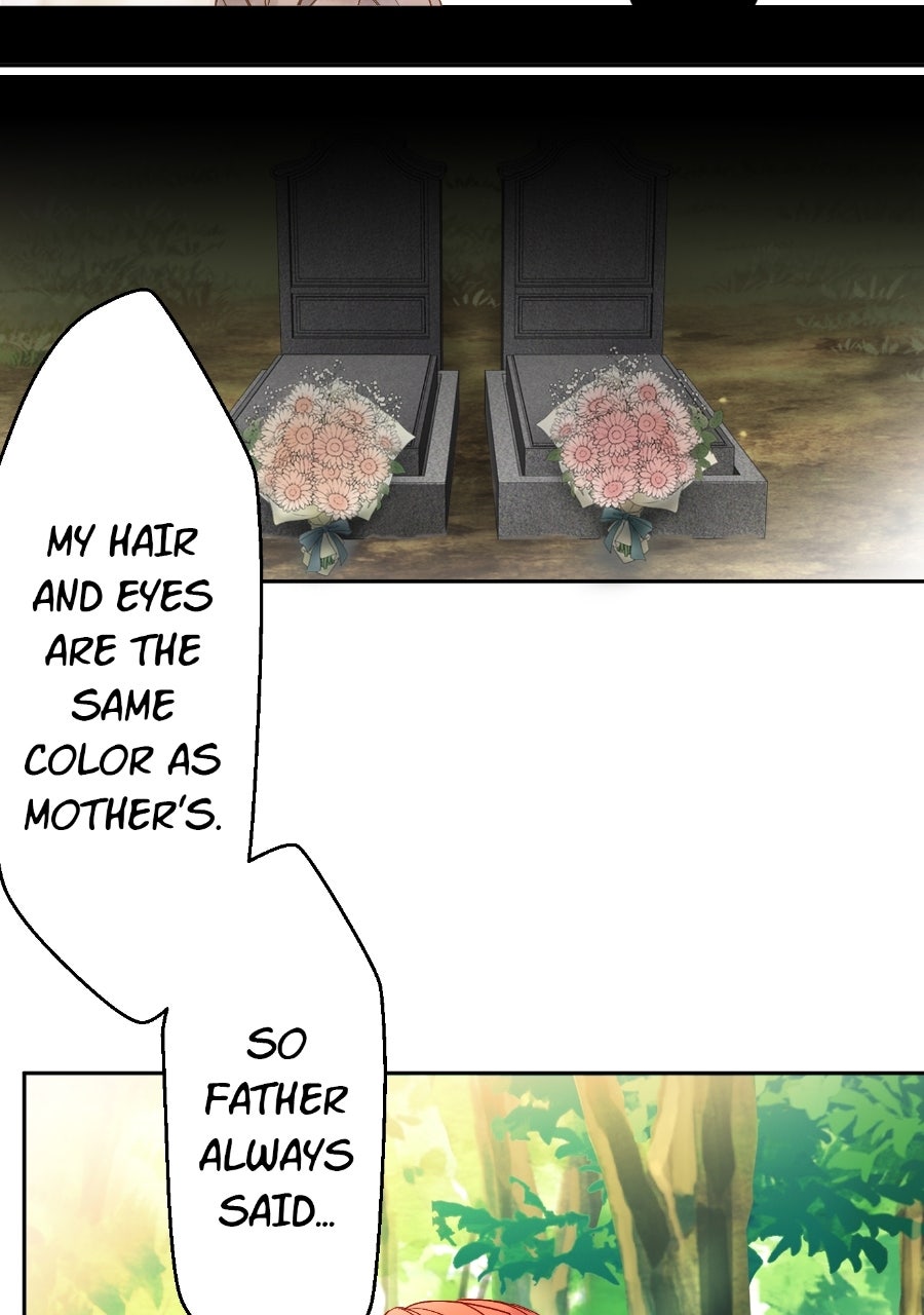 Read The King