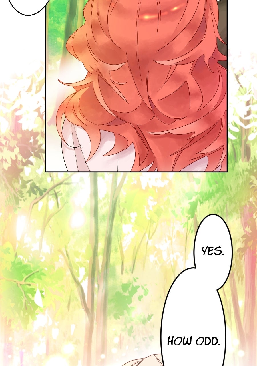 Read The King