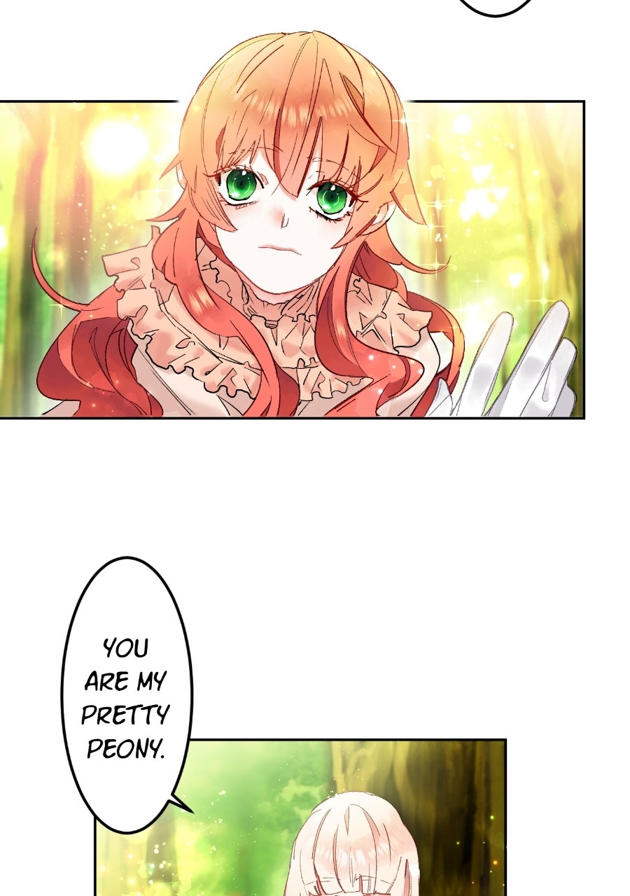 Read The King