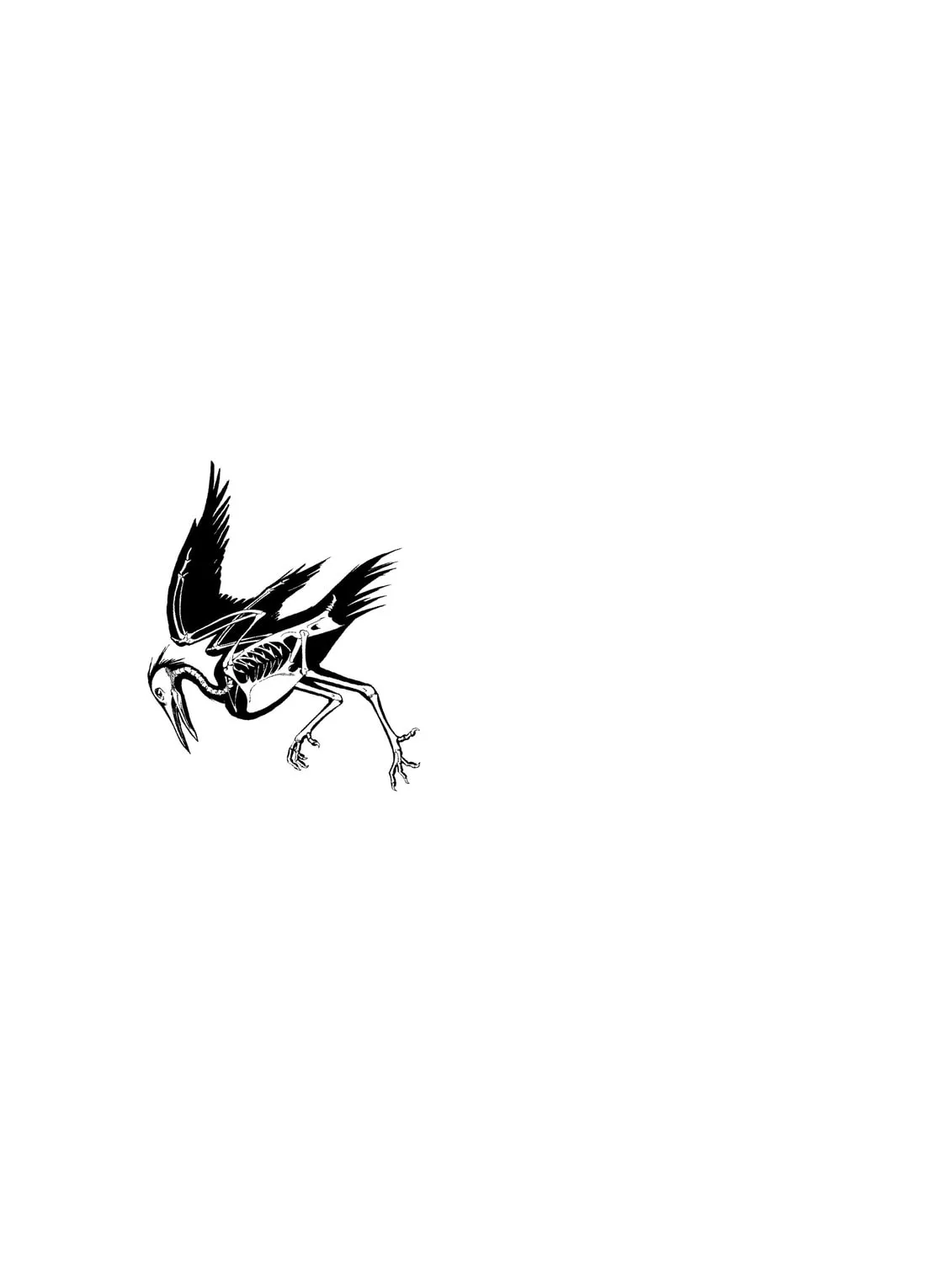 Read The Kurosagi Corpse Delivery Service chapter 28 image 56 on Lezhin