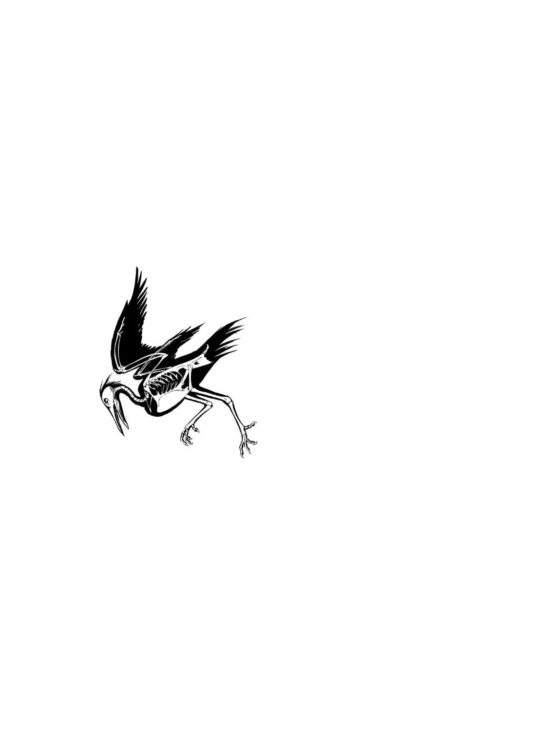 Read The Kurosagi Corpse Delivery Service chapter 34 image 34 on Lezhin