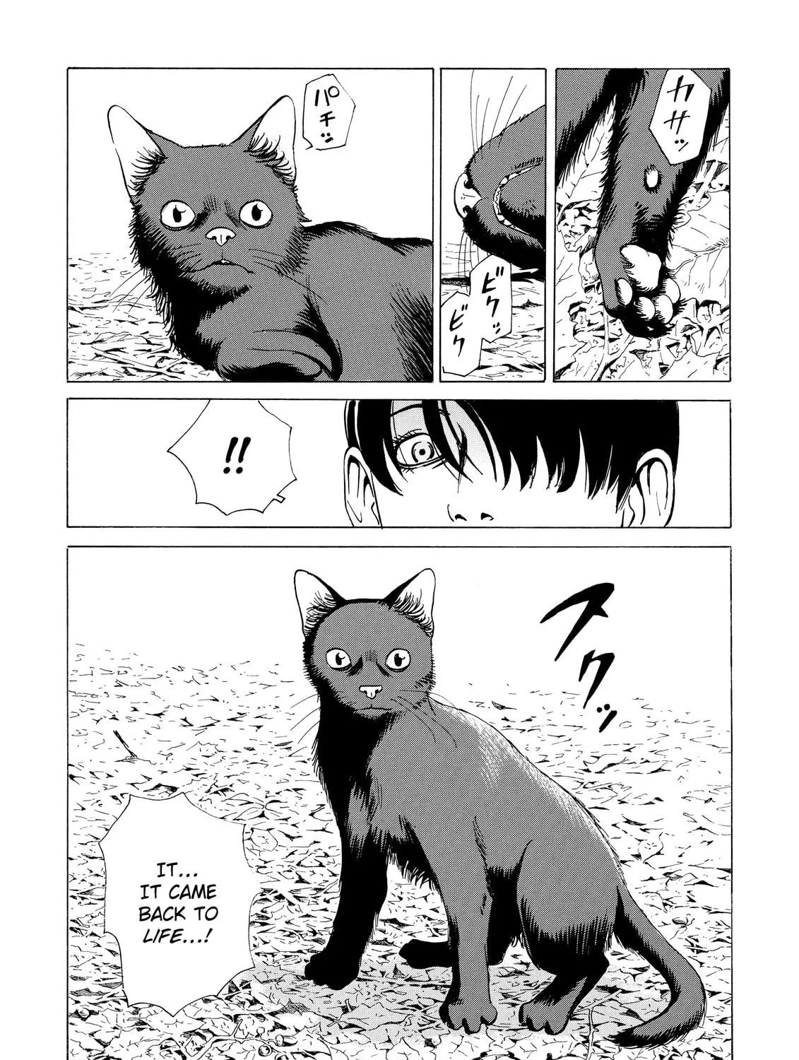 Read The Kurosagi Corpse Delivery Service chapter 6 image 48 on Lezhin
