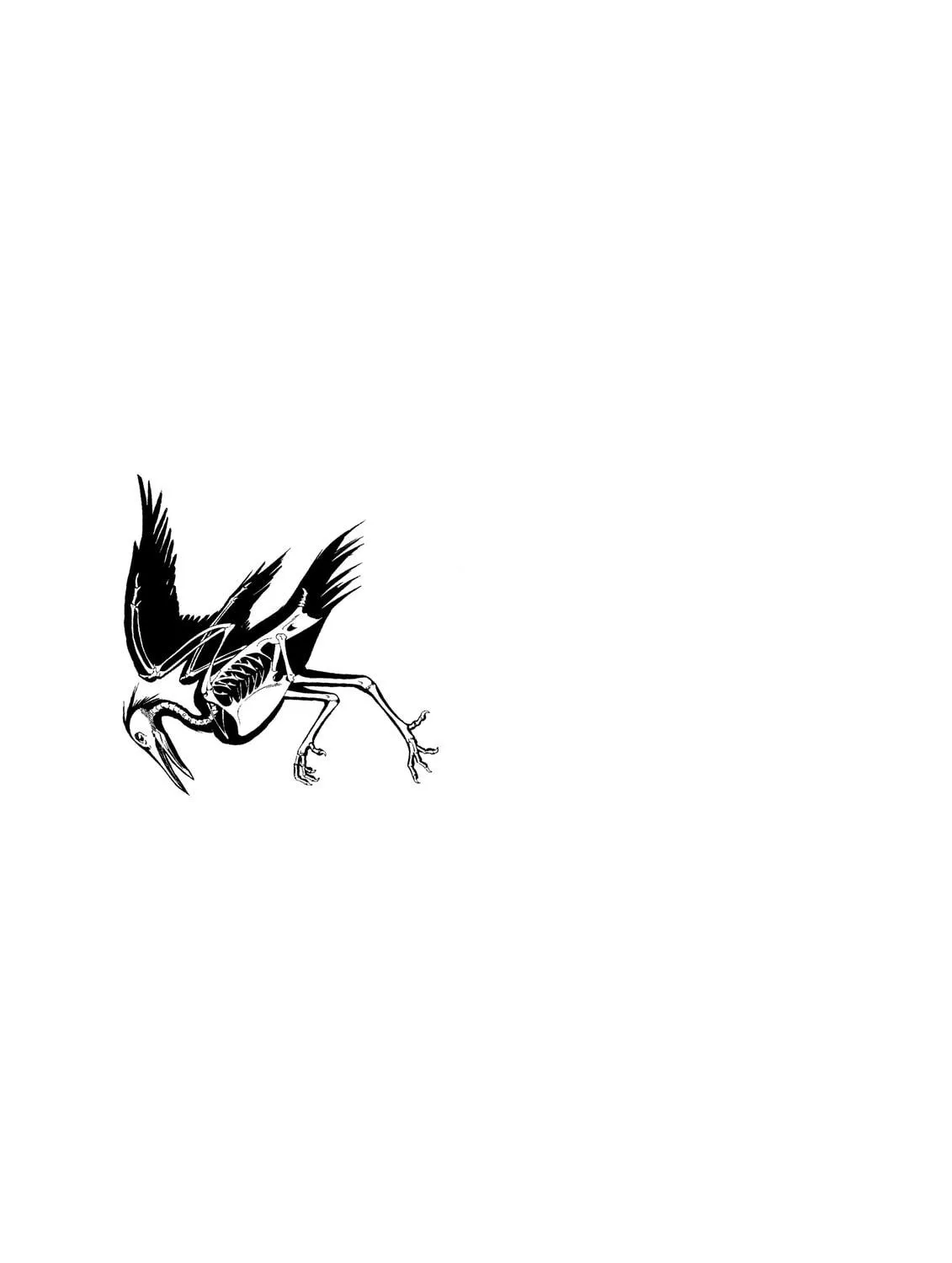 Read The Kurosagi Corpse Delivery Service chapter 71 image 46 on Lezhin