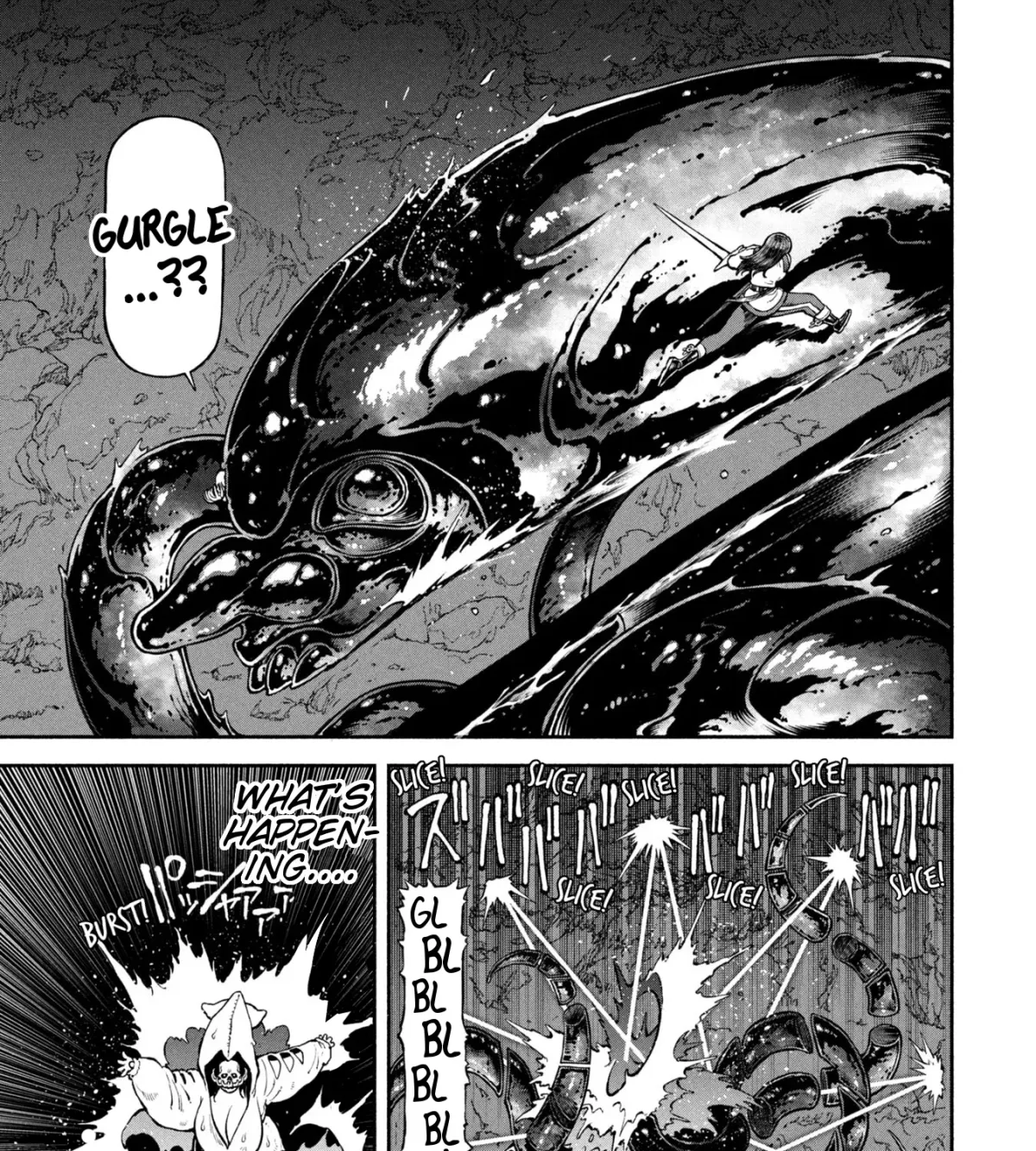 The Lady Knight and the Beast-Eared Child Chapter 58.07 page 17 - 